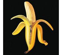 Dandy Warhols - Welcome to The Monkey House-180 Gram Vinyl [Import]