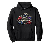 Danemark Finlande Île Norvège Suède Scandinavie Sweat à Capuche