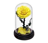 DANETI Rose éternelle préservée dans un dôme en verre avec 5 têtes de fleurs - Cadeau de mariage pour femme et petite amie - Rose jaune