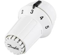 Danfoss 013G6520 Ras-C