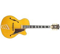 D'Angelico Excel 16 Amber