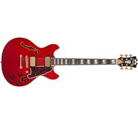 D'Angelico Excel Mini DC Trans Cherry