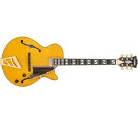 D'Angelico Excel SS Soho Amber