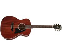 D'Angelico Excel Tammany Natural Mahogany