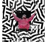 Danger Dan Das ist alles von der Kunstfreiheit gedeckt (Live) (Vinyl)