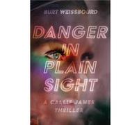 Danger in Plain Sight by Burt Weissbourd Burt Weissbourd (Auteur)