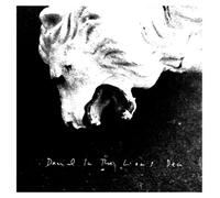 Daniel Blumberg - Daniel in The Lion S Den +Bonu [Import]