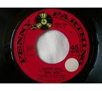 Daniel Boone - DANIEL BOONE Beautiful Sunday UK 7" 45