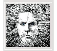 Daniel Harnett - Under The Veil Unseen