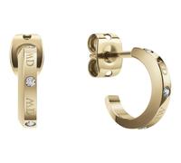 Daniel Wellington Classic Lumine Unity Earrings DW00400350
