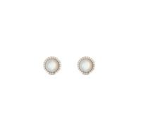 Daniel Wellington DW Audrey Semi-precious 8mm Gold