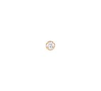 Daniel Wellington DW Earrings Micro 2,5mm Gold
