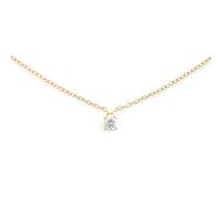 Daniel Wellington DW Mirelle 40-44 cm Gold