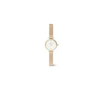 Daniel Wellington Petite Montre 19 Stainless Steel with Pvd Plated Gold Gold