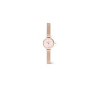 Daniel Wellington Petite Montre 19 Stainless Steel with Pvd Plated Rose Gold Rose Gold