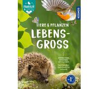 Daniela Strau&s Tiere und Pflanzen lebensgroß: Rund ums Jahr die Natur e (Relié)