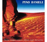 Daniele Pino - Ne Pas Marcher Sur Les Fleurs Dans Le Désert
