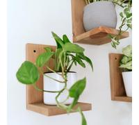 Daniel's Plants Kit d'étagères murales pour plantes d'intérieur | Étagères modernes en bois du milieu du siècle | Support mural pour plantes | Étagères flottantes en forme de L | Étagère murale en