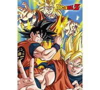 Danilo Promotions Limited Carte de vœux officielle Dragon Ball, multicolore, 17,8 x 12,7 cm