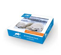 Danilo Promotions Lot de 20 cartes de Noël officielles Animal Planet Box - 4 motifs