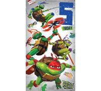 Danilo Promotions LTD Carte d'anniversaire Tortues Ninja pour adolescent 5 ans