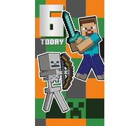 Danilo Promotions LTD Minecraft Carte d'anniversaire 6 ans Carte d'anniversaire 6 ans