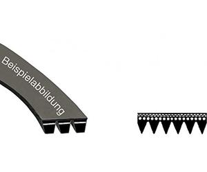 daniplus Courroie en V de courroie 1199j5 EL Convient pour AEG, Electrolux 1462477009