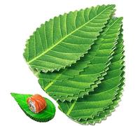 Danlai 200 Pièces Feuille Verte Nourriture Japonaise Sushi Décoration Feuilles Sushi Herbe Plastique Feuille Sashimi Décor Outils