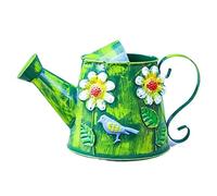 DANNMPX Arrosoir Arrosoir for Plantes D'intérieur Couleur D'arrosage Domestique Étain Impression Arrosage Fleur Pulvérisation Bonsaï Outil Jardinage(Grün)