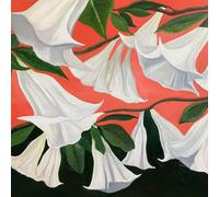 Danny george wilson - Another Place [Import]