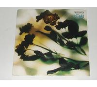 DANNY WILSON - The Second Summer Of Love