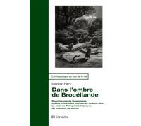 Dans l’ombre de Brocéliande Divertissements légendaires, quêtes spirituelles, recherche de bien-être… La forêt de Paimpont à l’épreuve du tourisme de masse - Stephan Ferry - Teraedre - broché - Monogr
