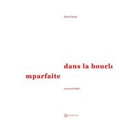 Dans la boucle imparfaite - Patrice Hamel - Labyrinthes - broché - Roman