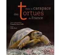 Dans La Carapace Des Tortues De France