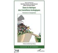 Dans la fabrique des transitions écologiques Geoffrey Carrere (Auteur), Camille Dumat (Auteur), Marie-Christine Zelem (Auteur)