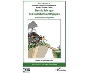 Dans la fabrique des transitions écologiques Geoffrey Carrere (Auteur), Camille Dumat (Auteur), Marie-Christine Zelem (Auteur)