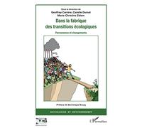 Geoffrey Carrere – Dans la fabrique des transitions écologiques – Permanence et changements