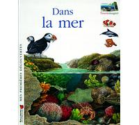 Dans la mer