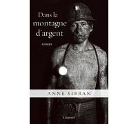 DANS LA MONTAGNE D ARGENT: roman