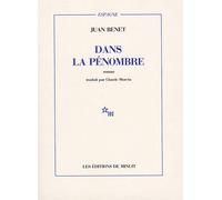Dans la pénombre