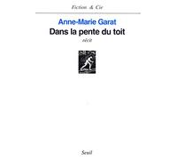 Dans la pente du toit