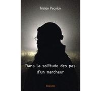 Dans la solitude des pas d'un marcheur