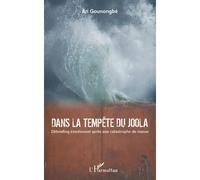 Dans la tempête du Joola Debriefing émotionnel après une catastrophe de masse - Ari Gounongbe - L'harmattan - broché - Essai