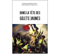 Dans la tête des gilets jaunes
