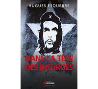 Dans la tête des insurgés