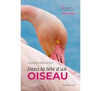Dans la tête d'un oiseau