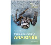 Dans La Tête D'une Araignée