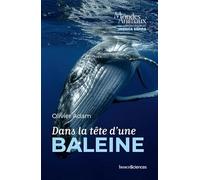 Dans la tête d'une baleine