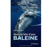 Dans la tête d'une baleine
