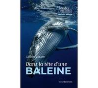 Dans la tête d'une baleine Olivier Adam (Auteur), Jessica Serra (Collection dirigée par)